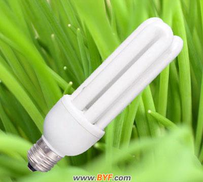 中國綠色節(jié)能照明行業(yè)的四大頑疾(組圖) 